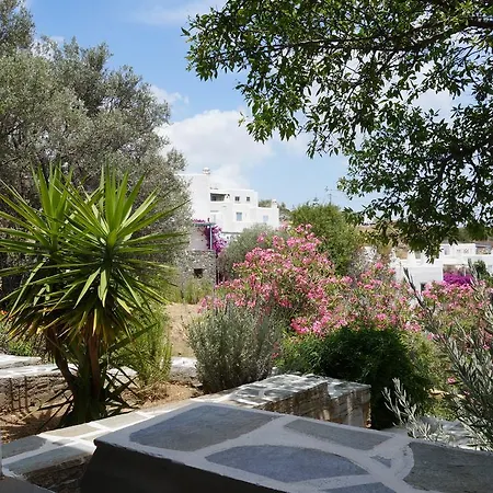 Lefkes Village Λεύκες